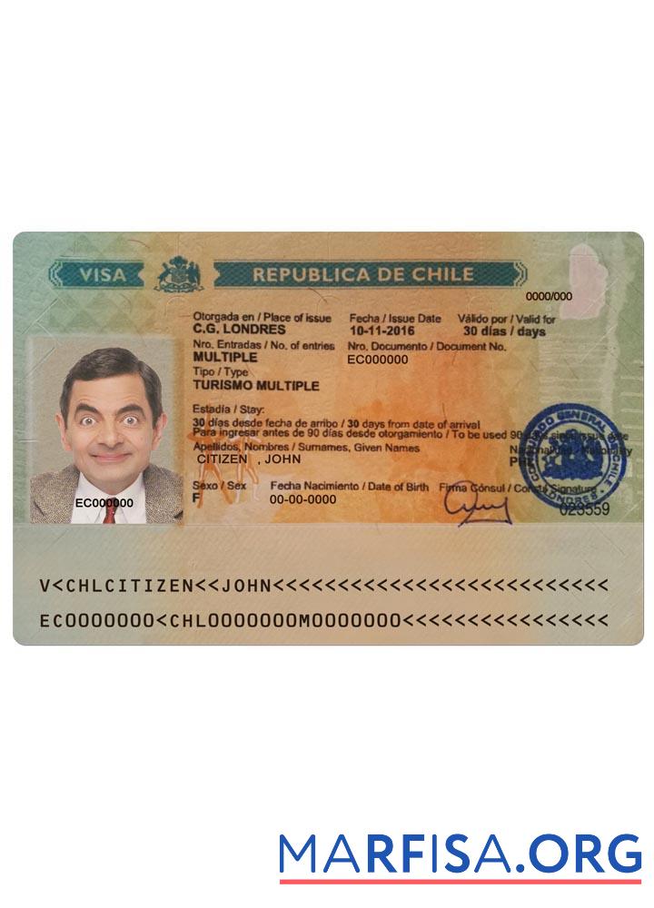 Blank Chile tourism visa download for verification